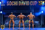 Sochi David Cup - 2017