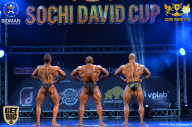 Sochi David Cup - 2017