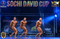 Sochi David Cup - 2017