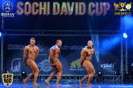 Sochi David Cup - 2017