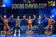 Sochi David Cup - 2017