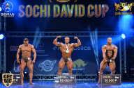 Sochi David Cup - 2017