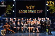 Sochi David Cup - 2017