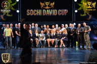 Sochi David Cup - 2017