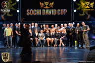 Sochi David Cup - 2017