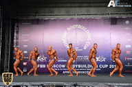 IFBB Elite Pro Moscow Bodybuilding Cup - 2018