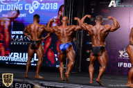 IFBB Elite Pro Moscow Bodybuilding Cup - 2018