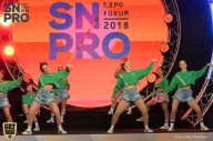 SN PRO EXPO - 2018