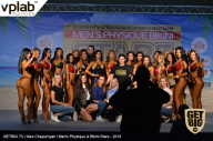 Men’s Physique & Bikini Stars - 2019