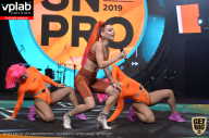 SN PRO EXPO - 2019