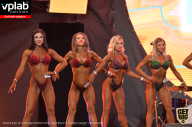 SN PRO EXPO - 2019