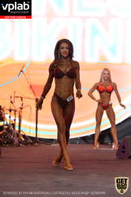 SN PRO EXPO - 2019