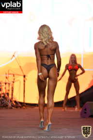 SN PRO EXPO - 2019