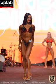 SN PRO EXPO - 2019