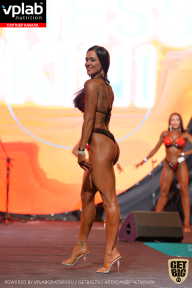 SN PRO EXPO - 2019