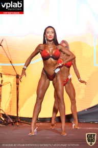 SN PRO EXPO - 2019