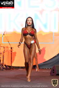 SN PRO EXPO - 2019