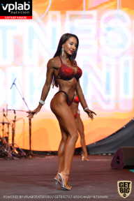 SN PRO EXPO - 2019