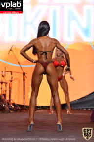 SN PRO EXPO - 2019