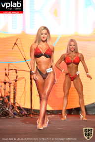 SN PRO EXPO - 2019