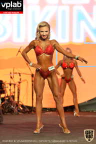 SN PRO EXPO - 2019