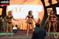 SN PRO EXPO - 2019