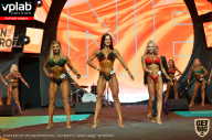SN PRO EXPO - 2019