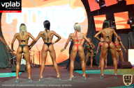 SN PRO EXPO - 2019