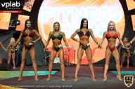 SN PRO EXPO - 2019