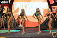 SN PRO EXPO - 2019