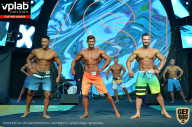 SN PRO EXPO - 2019