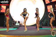 SN PRO EXPO - 2019