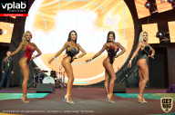 SN PRO EXPO - 2019