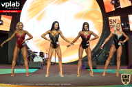 SN PRO EXPO - 2019
