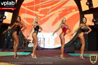 SN PRO EXPO - 2019