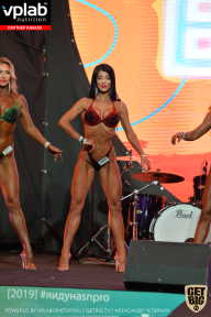 SN PRO EXPO - 2019