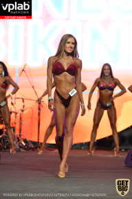 SN PRO EXPO - 2019