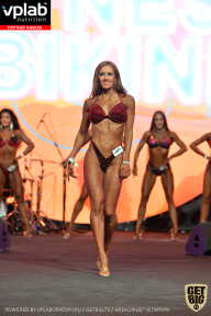 SN PRO EXPO - 2019