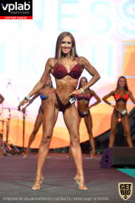 SN PRO EXPO - 2019