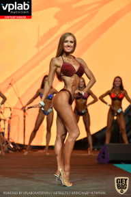 SN PRO EXPO - 2019