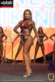 SN PRO EXPO - 2019