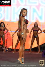 SN PRO EXPO - 2019