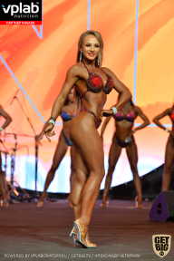 SN PRO EXPO - 2019