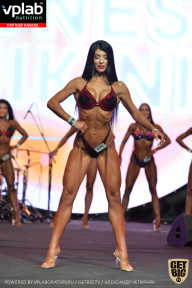 SN PRO EXPO - 2019