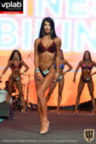 SN PRO EXPO - 2019