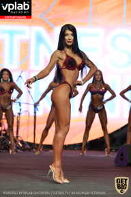 SN PRO EXPO - 2019