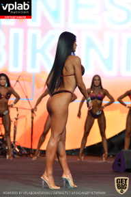 SN PRO EXPO - 2019