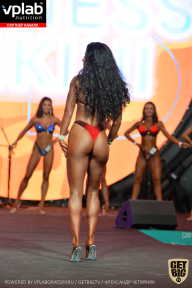 SN PRO EXPO - 2019
