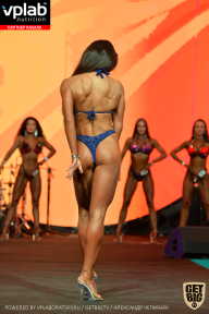 SN PRO EXPO - 2019
