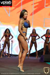 SN PRO EXPO - 2019